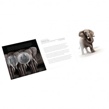 Blister ouvert AFRIQUE du SUD 2021 - Big Five II - Elephant - Argent 1oz - Bullion Coin (n°1)