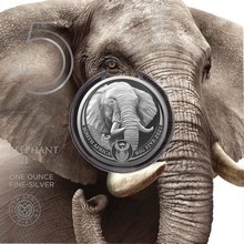 BIG FIVE II